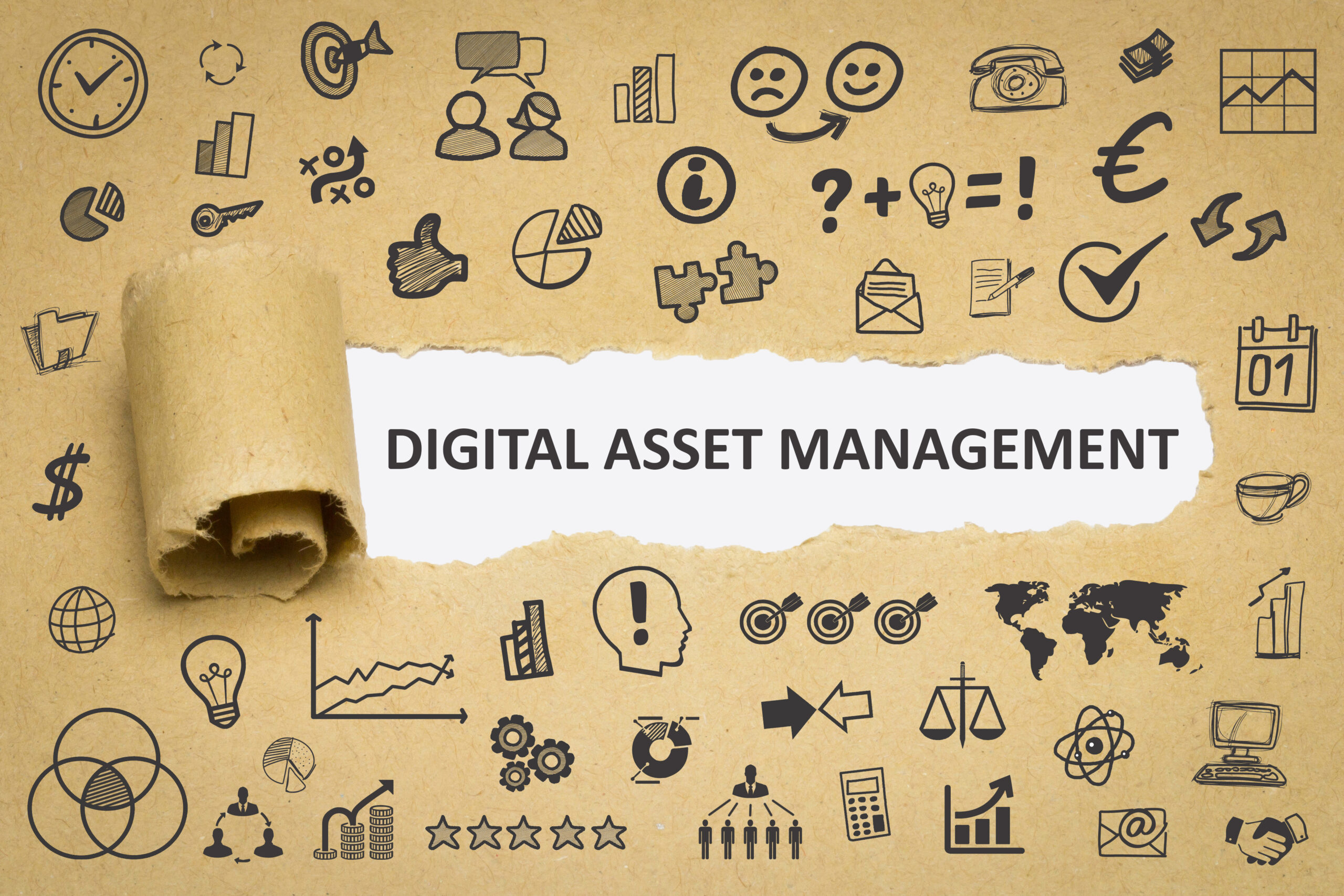 13 Rationales why Digital Asset Management is Essential