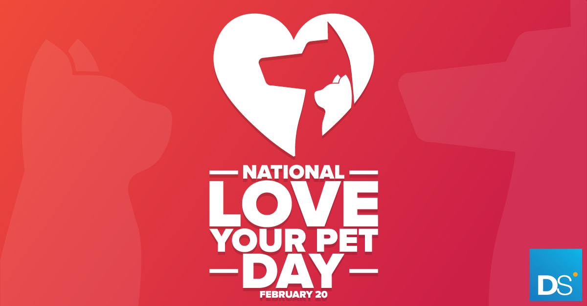 National Love Your Pet Day: Successful Licensed Pet Products